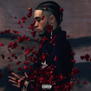 最新AV成人无码
